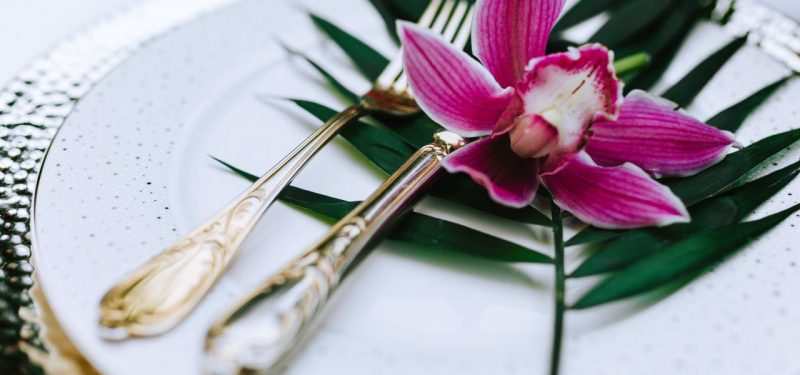 kaboompics_Cymbidium,-boat-orchid